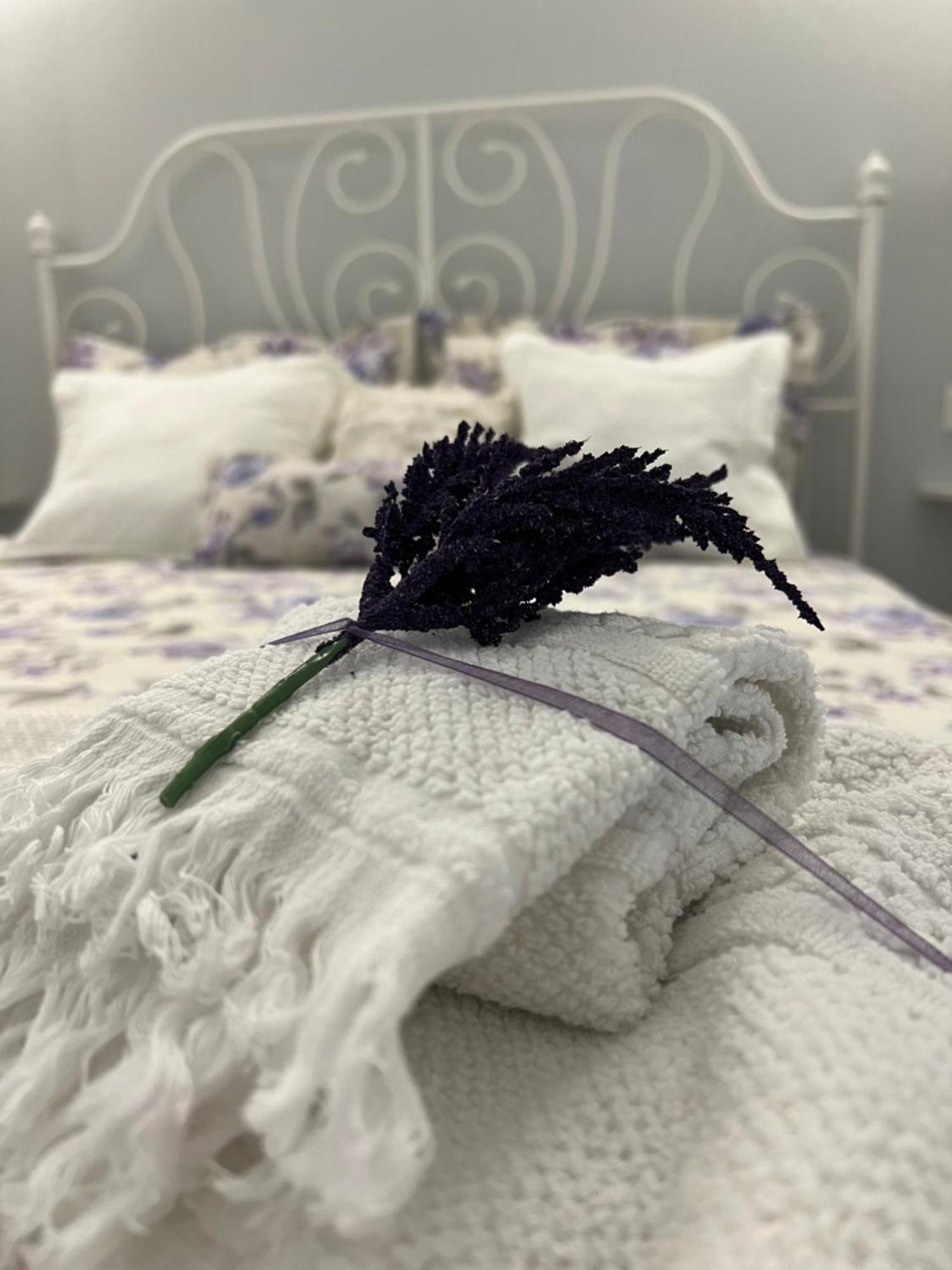 B&B Puglia D'Amare Лиццано Номер фото